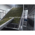 Commercial Food Dryer Machine